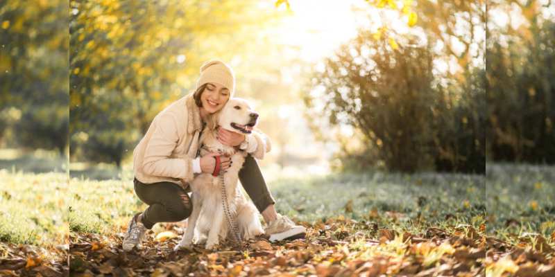 Which Type Of Dog Mom Are You Quiz