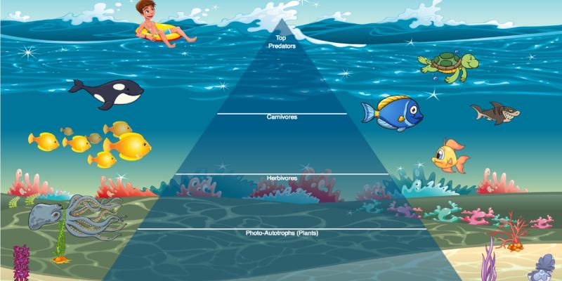 Ecosystem Quiz: How Much You Know About Ecosystem?