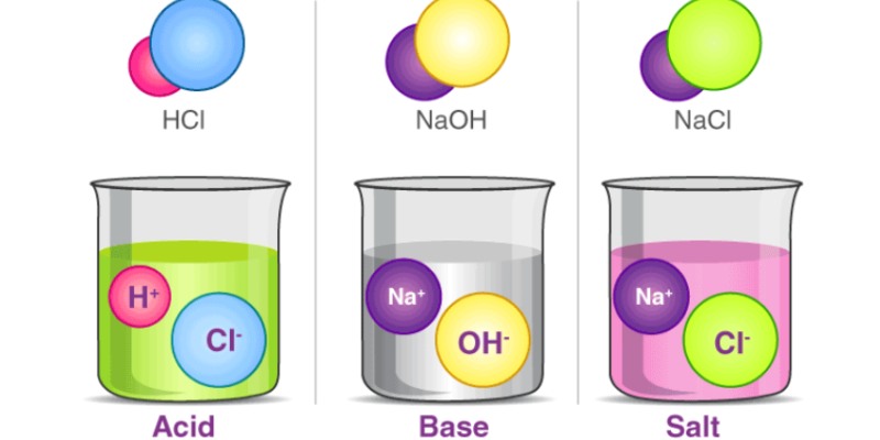 Science Acids Bases and Salts Chapter Quiz For 7th Grade Student