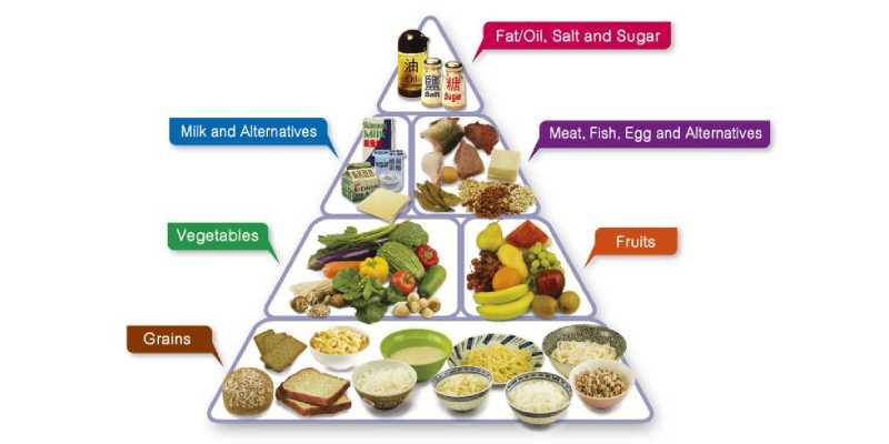 Quiz for 6th Grade Student: How Much You Know About Components Of Food?