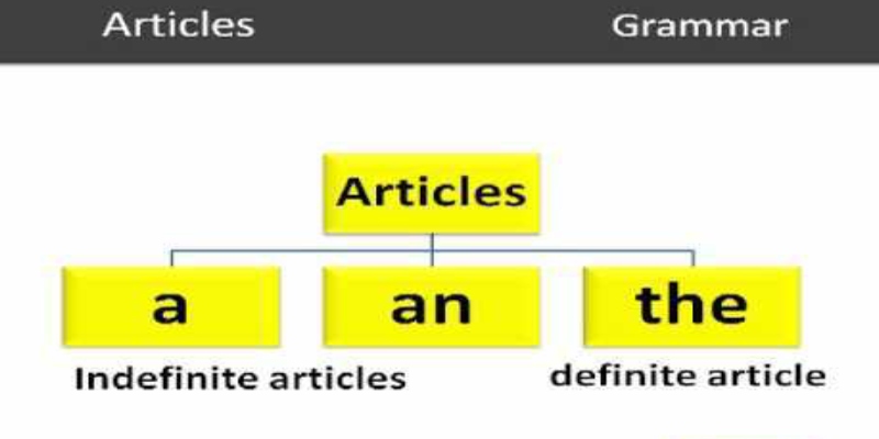 English Grammar Article Quiz For 2nd Grade