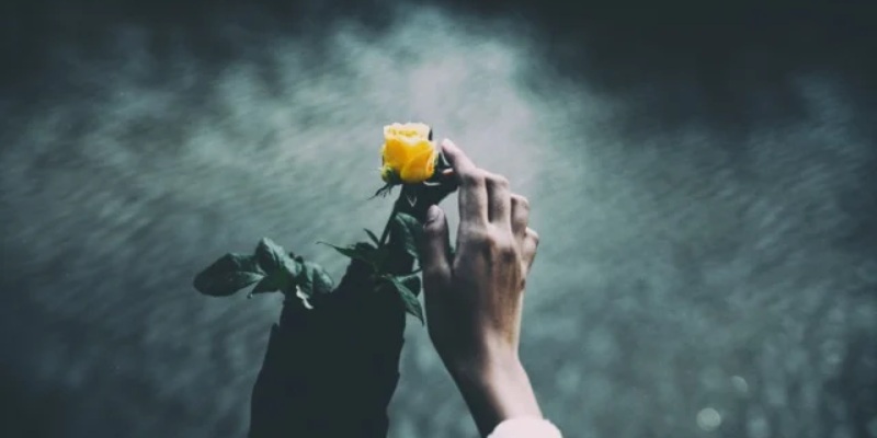 Soul Aesthetic Quiz: What Is Your Soul Aesthetic?