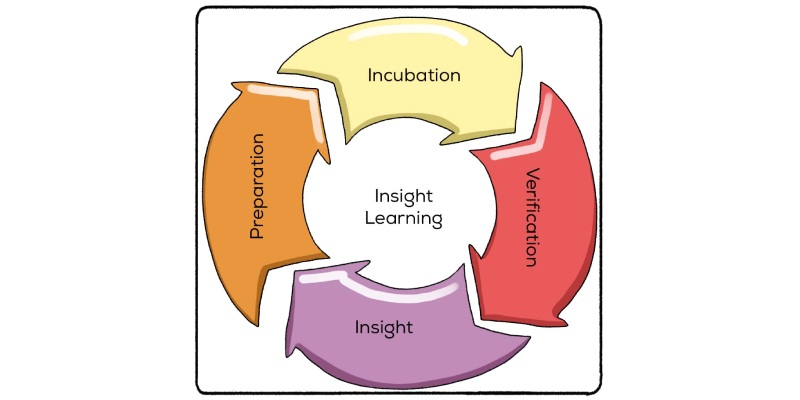 Insight Learning Quiz Questions and Answers