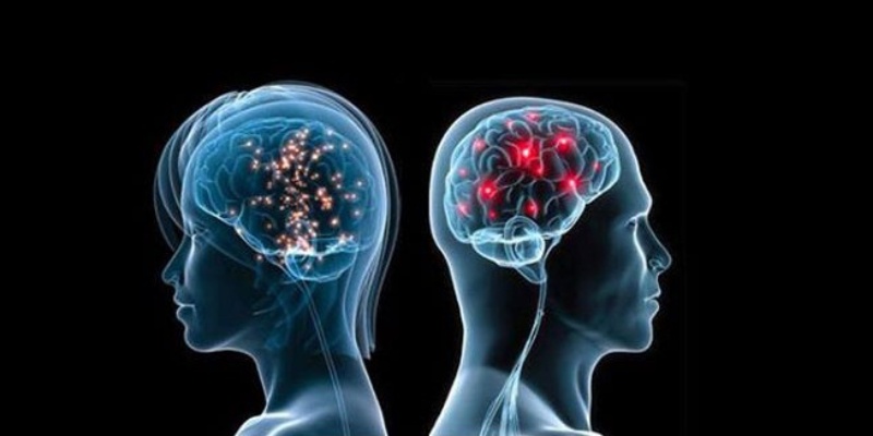 Quiz- Is Your Brain More Male or Female?
