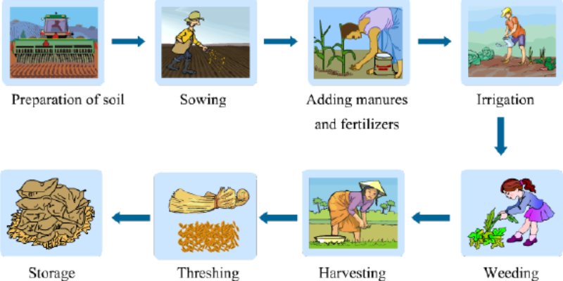 NCERT Solution for Crop Production and Management Class 8th Chapter -1