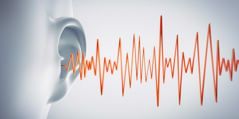 NCERT Solutions For Sound Chapter 10 for Class 8 Quiz Questions and Answers