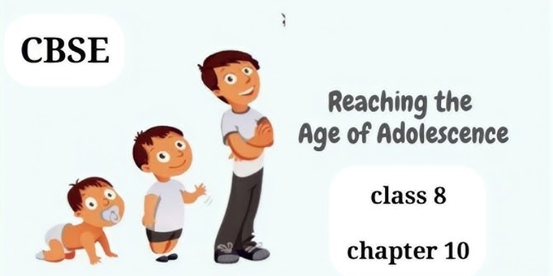 NCERT Solutions Reaching the Age of Adolescence Class 8 chapter 7 quiz & answer