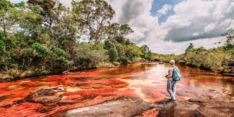 NCERT Solutions For Some Natural Phenomena Chapter 12 Class 8 Quiz Questions and Answers